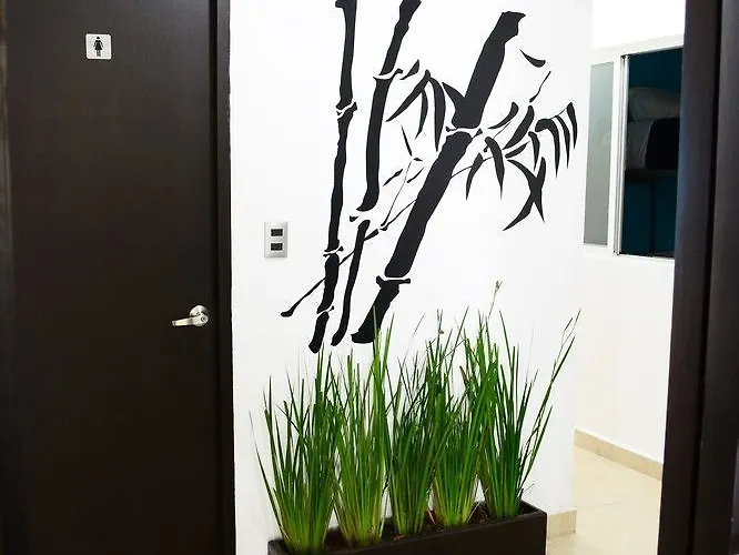 Inn Be Condesa 2*